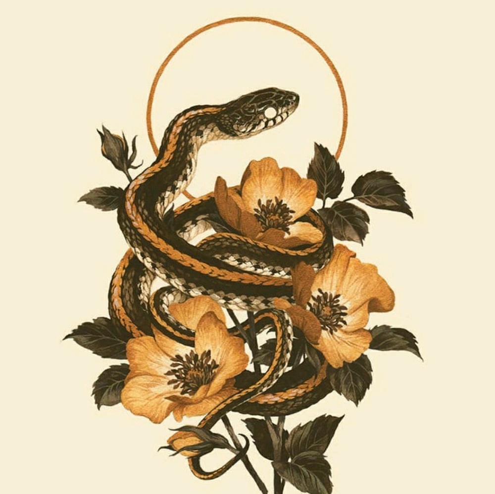 Meet your Posher, Ventura